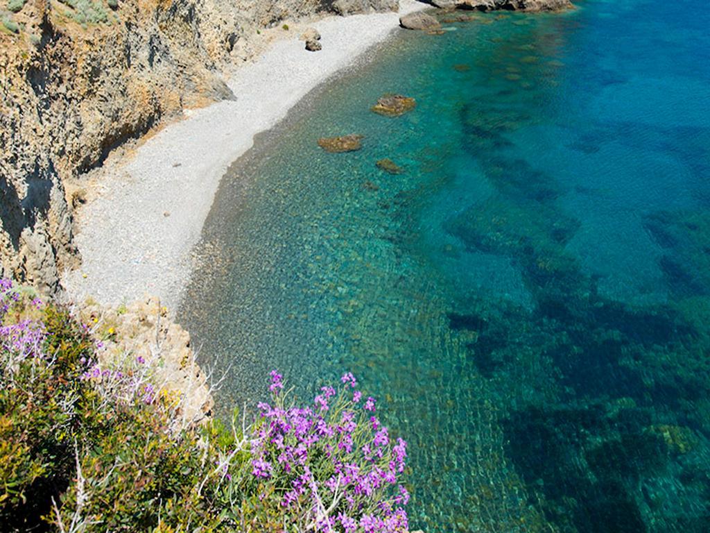 O Palmo Panarea